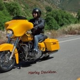 Harley Davidson_2013_M