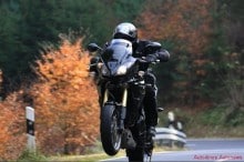 triumph tiger 1050 wheelie