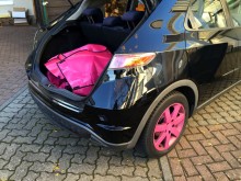 Pink Tussi Honda Civic