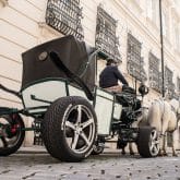 AEZ Felgen Kutsche Fiaker