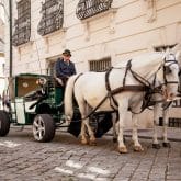 AEZ Felgen Kutsche Fiaker