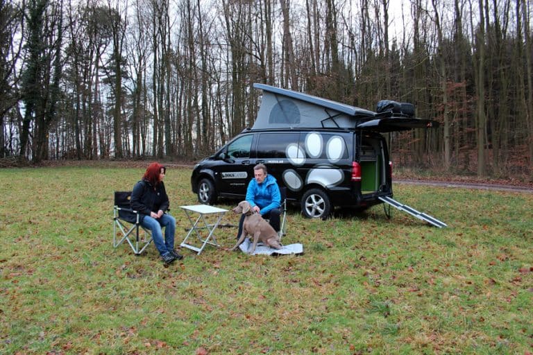 Camping Mit Hund Im Vito Oder T6 AUTODINO