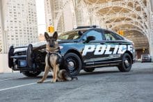 US Polizeiauto Ford Police Responder Hybrid Sedan