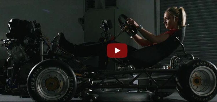 Honda Rasenmäher Motorradmotor