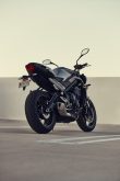 Triumph Street Triple 2023 6 Triumph Street Triple 2023 Modelle