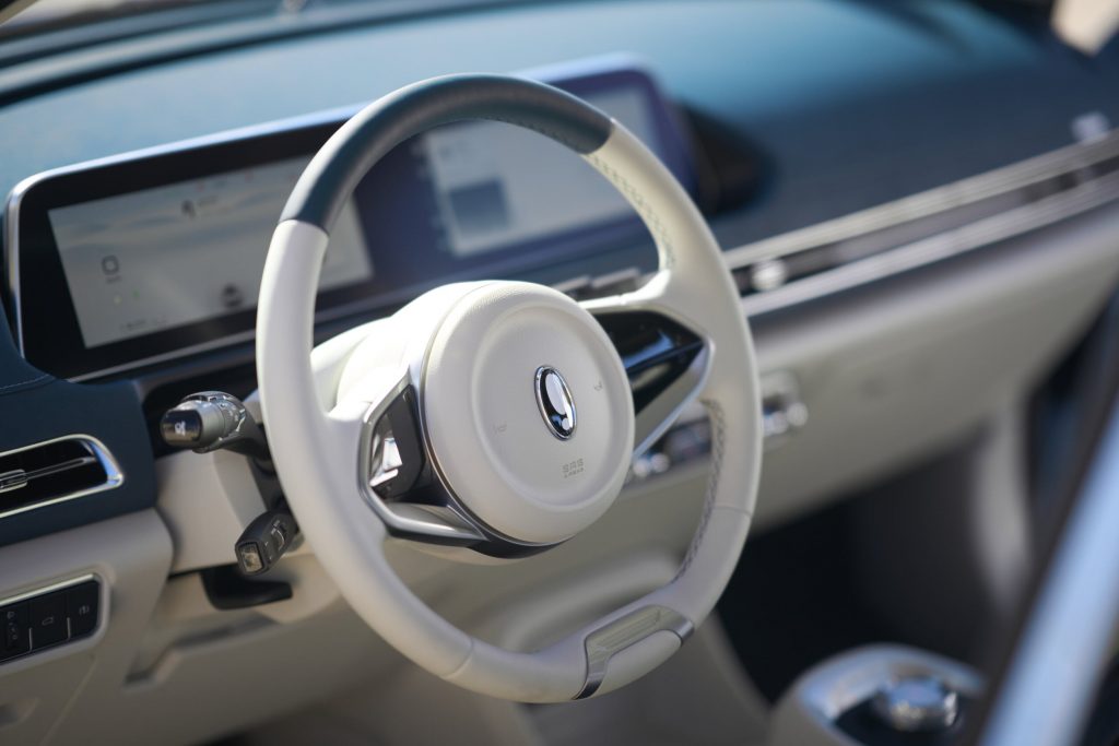 Ora Funky Cat Test 4 Ora Funky Cat Test Innenraum