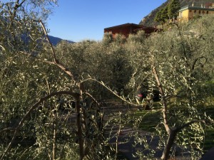 Autodino Motodino Gardasee Motorradtour_16