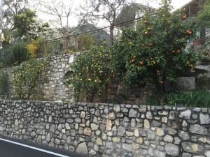 Autodino Motodino Gardasee Motorradtour_22