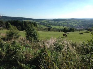 vogelsberg-motorradtour