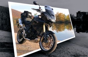 triumph-tiger-1050-abs-3d    