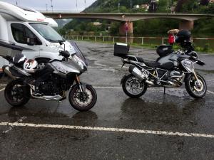 Triumph Tiger Sport 2016 Scheibe