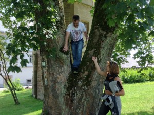 kloster-maria-bildhausen7