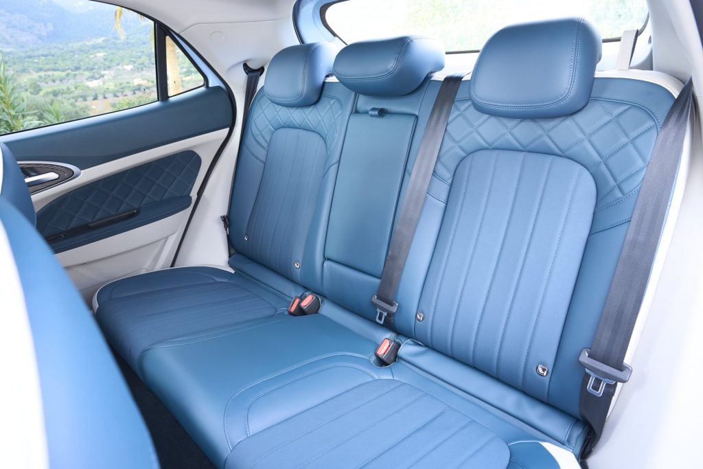 Ora Funky Cat Test 5 Ora Funky Cat Test Innenraum