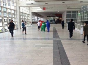 IMG_0833     