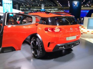 Peugeot Sport Cross       