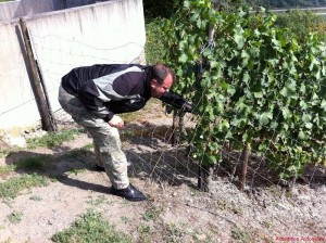 rhein-motorradtour_12