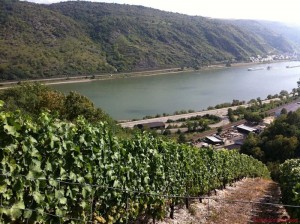 rhein-motorradtour_13