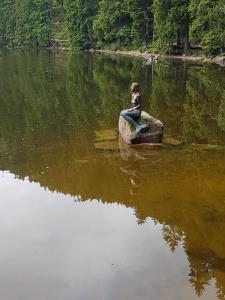 Mummelsee
