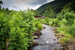 Schwarzwald Motorradtour