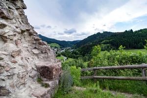 Schwarzwald Motorradtour Burgruine