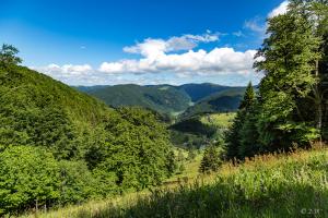 Schwarzwald Motorradtour