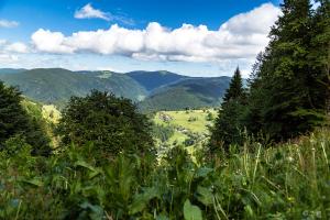 Schwarzwald Motorradtour