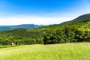 Schwarzwald Motorradtour